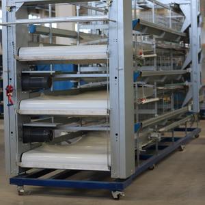 Sistema automático de raspado de estiércol de pollo para jaulas de aves de corral Equipo eficiente de tratamiento de estiércol de pollo para ganado - Product Image 1