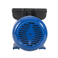 YL série 220v 0.37kw 0.5hp 2800rpm deux valeurs double condensateur AC moteurs électriques à induction