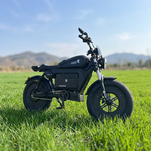 HCBK Black SS10 3000W Road E-Bike 60V 50Ah Removable <b>Battery</b>, 20-inch Tires/85km/h Original Manufacturer Free Customization of - Product Image 6