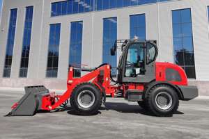 शक्तिशाली इंजन प्रणाली डीजल स्पष्ट कॉम्पैक्ट एफमैन व्हील लोडर fm925s 2.5टन वाहन बिक्री के लिए यूरोपीय बाजार के लिए - Product Image 3