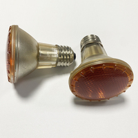 PAR20 Lampe à réflexion PAR20 Lampe halogène PAR20 Lampe de beauté médicale 120V50W 100V80W