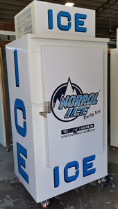 300L solide Simple porte bac de stockage de Glace congélateur/<span class=keywords><strong>distributeur</strong></span> De Glace - Product Image 2