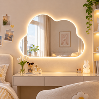 Miroir LED personnalisé en forme de nuage, à brancher sur le mur, avec interrupteur mural, rétroéclairé, décoratif, pour chambre à coucher