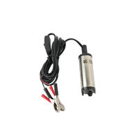 Pompa Ekstraktor Oli 12V Elektrik Diesel 24V DC Dispenser Bahan Bakar Pompa Hisap Oli Submersible Kecil OEM Industri Otomotif