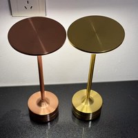 Lampe de Chevet Créative en Métal de Luxe à Commande Tactile pour Bars, Restaurants, Pubs ; Ambiance Lumineuse – Vente en Gros Transfrontalière