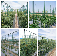 Piquet de jardin en PVC vert, robuste, pour support de plantes, bâton de fleur, horticulture extérieure, pépinière, aménagement paysager, renforcé