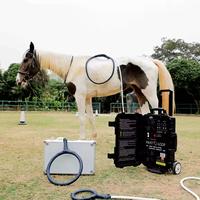 Appareil portable PMST LOOP Physio Magneto PEMF, thérapie électromagnétique haute intensité pour chevaux