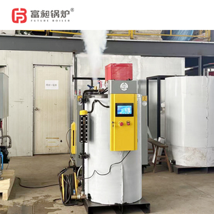 Nouveau 300kg meilleures chaudières à mazout Tube d'eau automatique conception verticale basse pression utilisation industrielle Autoclave à vapeur utilisation économie d'énergie - Product Image 4