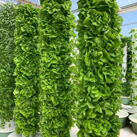 Grand Système Hydroponique Vertical pour Légumes et Ananas, Tours de Culture Aéroponique en PVC