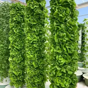 水耕栽培システムガーデン野菜PVCパイナップル植栽垂直農場エアロポニック成長タワー垂直