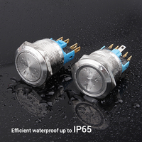 WD22mm Interrupteur momentané étanche Interrupteur à bouton-poussoir en métal 12 volts avec télécommande LED 6pin 1NO1NC