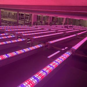 150W IP66 tán dẫn dải ánh sáng HR UV FR ppe3.0 đứng CE ukca ISO beci cấp giấy chứng nhận nở IP65 phát triển cáp ánh sáng riêng biệt - Product Image 5