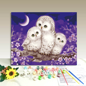 2026New Small <b>Picture</b> Diy Numbered <b>Framed</b> owl Painting Paint by Numbers Kits for Children Kid - Product Image 1
