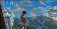 Promotion : Projecteur Holographique 3D Interactif pour Murs/Sols, Effet Zoo Animalier Immersif 5D, Idéal pour Lieux de Mariage et Bars