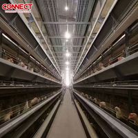 Cage d'élevage de poules pondeuses 6T-12Tiers, équipement de ferme avicole, nouvelle condition, ligne de cages pour poulets de chair, 50,000 à 200,000