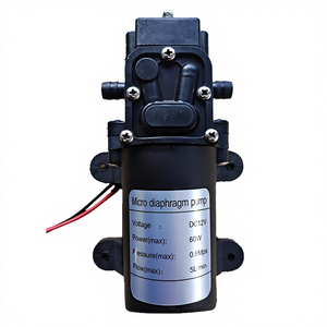 Pompe à eau auto-amorçante à pulvérisation 12V60W DC, booster à <span class=keywords><strong>reflux</strong></span>, diaphragme, pression 0,6 MPa, débit 5 L/min, plastique, ASEAN Afrique - Product Image 1