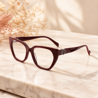 Expédition sous 24 heures - Lunettes optiques en acétate de luxe haut de gamme avec ornement - Montures de lunettes de mode confortables pour un usage quotidien