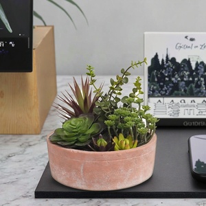 OH NGHỆ THUẬT Thương hiệu Mới hỗn hợp mọng nước chậu cây nhân tạo hỗn hợp mọng nước trong đất nung nồi cho văn phòng trang trí - Product Image 5