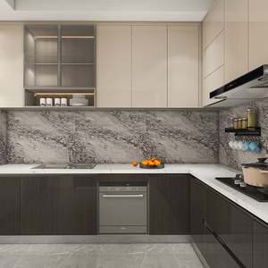 Customized High-End Modern Kitchen <b>Cabinets</b> Sink Faucet Drawer Slide Accessories for Whole House Customization Cutlery Storage - Product Image 4