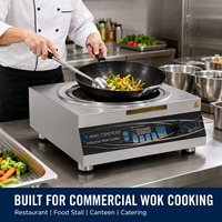 Cuisinière à induction commerciale concave 220V 3.5kW 5kW avec wok de 450mm à double poignée pour cuisson à la poêle
