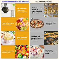 Machine de lyophilisation alimentaire commerciale pour fruits, viande, café, certifiée CE et à économie d'énergie, lyophilisateur de qualité alimentaire