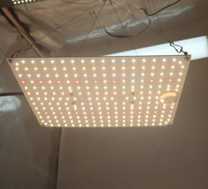 Suministro de fábrica, lámpara LED de crecimiento de plantas de 60W, Kit completo de tienda hidropónica con tablero Quantu para <span class=keywords><strong>Samsung</strong></span> Led de aluminio para tienda de cultivo - Product Image 1