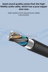 Mới Đến Năng Động Cầm Tay Có Dây Microphone Tiếng Ồn Hủy Bỏ Trọng Lượng Nhẹ Thiết Kế 6.5Mm Xlr Cáp Kim Loại Vỏ Cho Ngoài Trời KTV - Product Image 5