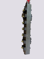 Soluciones Avanzadas de Moldeo Automatizadas Controladas por PLC para HDPE/PS/PP por IBM