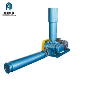 Low Labor Intensity And High Efficient Industrial Conveying Rotary Air Blower Pump