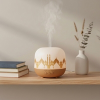 Diffuseur d'huiles essentielles USB de bureau 170 ml, diffuseur d'arômes, humidificateur d'air avec lumière LED