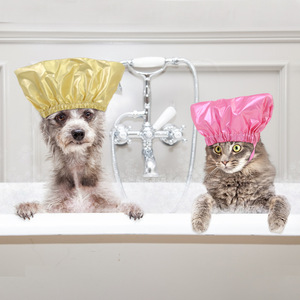 Pet Shower Cap For Dog Waterproof Head Cover Bath Hat Small Size Polyester Material - Product Image 3