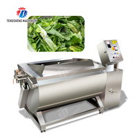 Professionele Fabriek Fruitgroentevlees Zeevruchten Wasmachine