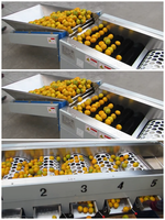Hoge Kwaliteit Abrikoos Grader Fruit Sorteren Machine Kalibratie Sizer