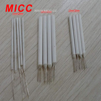 Elemento RTD Pt100/PT500/PT1000 Clase A/B de MICC, -50°C +650°C, Tolerancia de 0.3°C, 3850ppm/C TCR, OEM/ODM Personalizable, Tamaño 2x16mm