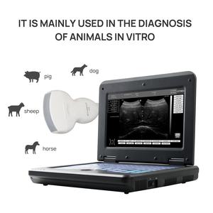 Escáner de Ultrasonido Animal de Alta Calidad, Equipo de Ultrasonido Veterinario Digital Portátil, Sonda Dual, Doppler a Color, Ultrasonido Animal - Product Image 2