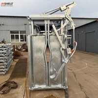 Chute d'encerclement robuste pour bétail à vendre, équipement de retenue du bétail à portillon automatique pour usage agricole