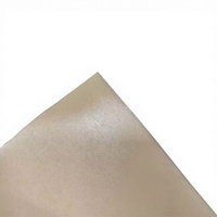 Plaque diffuseur anti-lumière bleue personnalisable Rina Tech BLP en matériau PC/PS RG0 à surface lisse pour rétroéclairage d'écran LED 0,4-1,5 mm