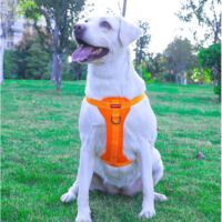 Harnais réfléchissant pour animaux de compagnie gilet de laisse de chien antidéflagrant avec sangle de poitrine laisse de collier de chien facile à enfiler