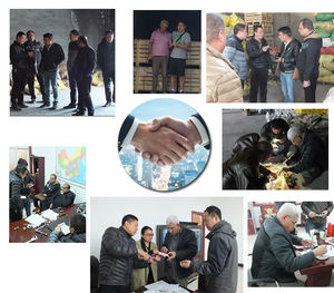 Ancre à expansion en forme de J/U en acier au carbone de grade 4.8 avec tête plaquée zinc jaune pour mur en béton - Product Image 6