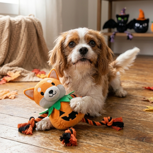 Jouets pour chiens d'Halloween en peluche, jouets à mâcher interactifs pour chiens avec corde qui couine, jouets durables pour animaux de compagnie d'Halloween, fabricant OEM ODM sur mesure - Product Image 4