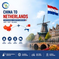 China Luftfracht Seefracht Spediteur von China nach Europa Frankreich/Italien/Spanien/Belgien/Niederlande Versandagent