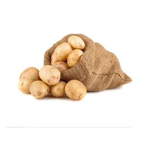 Best Selling And High Quality 100% Natural Product Egyptian Fresh Potatoes Spunta Very Delicious For Export From Egypt