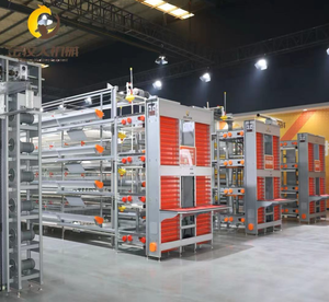 Jaula para Gallinas <span class=keywords><strong>de</strong></span> 3 y 4 Niveles, Jaulas para Pollos Tipo H Galvanizadas en Oferta, Jaula para Gallos Totalmente Automatizada, Equipo para Granjas Avícolas - Product Image 4