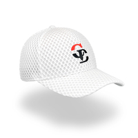 Hoge kwaliteit 5-panel luipaardprint katoenen custom geborduurde golf baseball pet fabriek groothandel gepersonaliseerd logo ademende pet