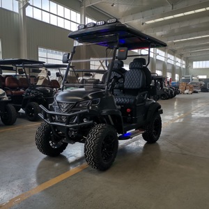 Voiture de <span class=keywords><strong>golf</strong></span> électrique chinoise à 2, 4 ou <span class=keywords><strong>6</strong></span> places à vendre, 48V 72V Lithium, buggy électrique confortable personnalisé - Product Image 3