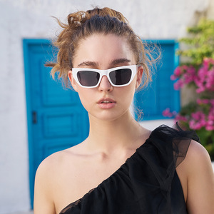 Lunettes de soleil de style européen à petite monture, unisexe, monture PC, protection UV400, design œil de chat noir, lunettes de mode urbaine - Product Image 3