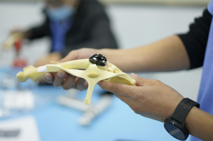 Bluesaoサイズ7プロの獣医膝蓋骨溝置換手術移植されたプロ装具 (溝とプレート) 、チタン - Product Image 5