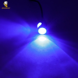 5W otomatik ışık sistemi motosiklet motosiklet LED sinyal lambası dönüş işık <span class=keywords><strong>DC</strong></span> 12V kartal göz LED işıkları - Product Image 4