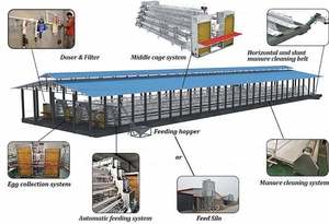 Nuevo equipo automático <span class=keywords><strong>de</strong></span> acero galvanizado, componentes <span class=keywords><strong>de</strong></span> rodamiento <span class=keywords><strong>de</strong></span> Motor, jaulas <span class=keywords><strong>de</strong></span> capa para puesta <span class=keywords><strong>de</strong></span> huevos <span class=keywords><strong>de</strong></span> pollo para granjas avícolas utilizadas para aves - Product Image 3