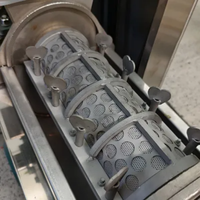 Schroeftype sapcentrifuge, hoog rendement spiraalpers voor vers fruit en groente verwerking, sap-slag scheiding